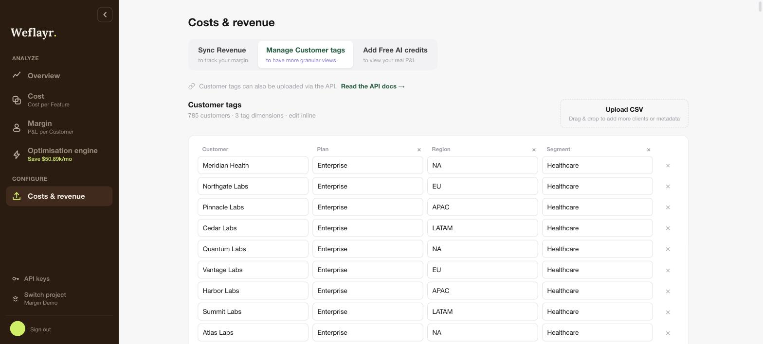 Manage Customer tags tab